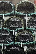 La pesca con mosca es desafiante pero gratificante