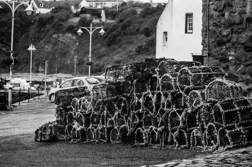 Pesca en alta mar para marlin