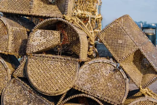 Elija la pesca con caña como pasatiempo