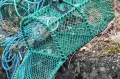 Pesca con cebo para principiantes