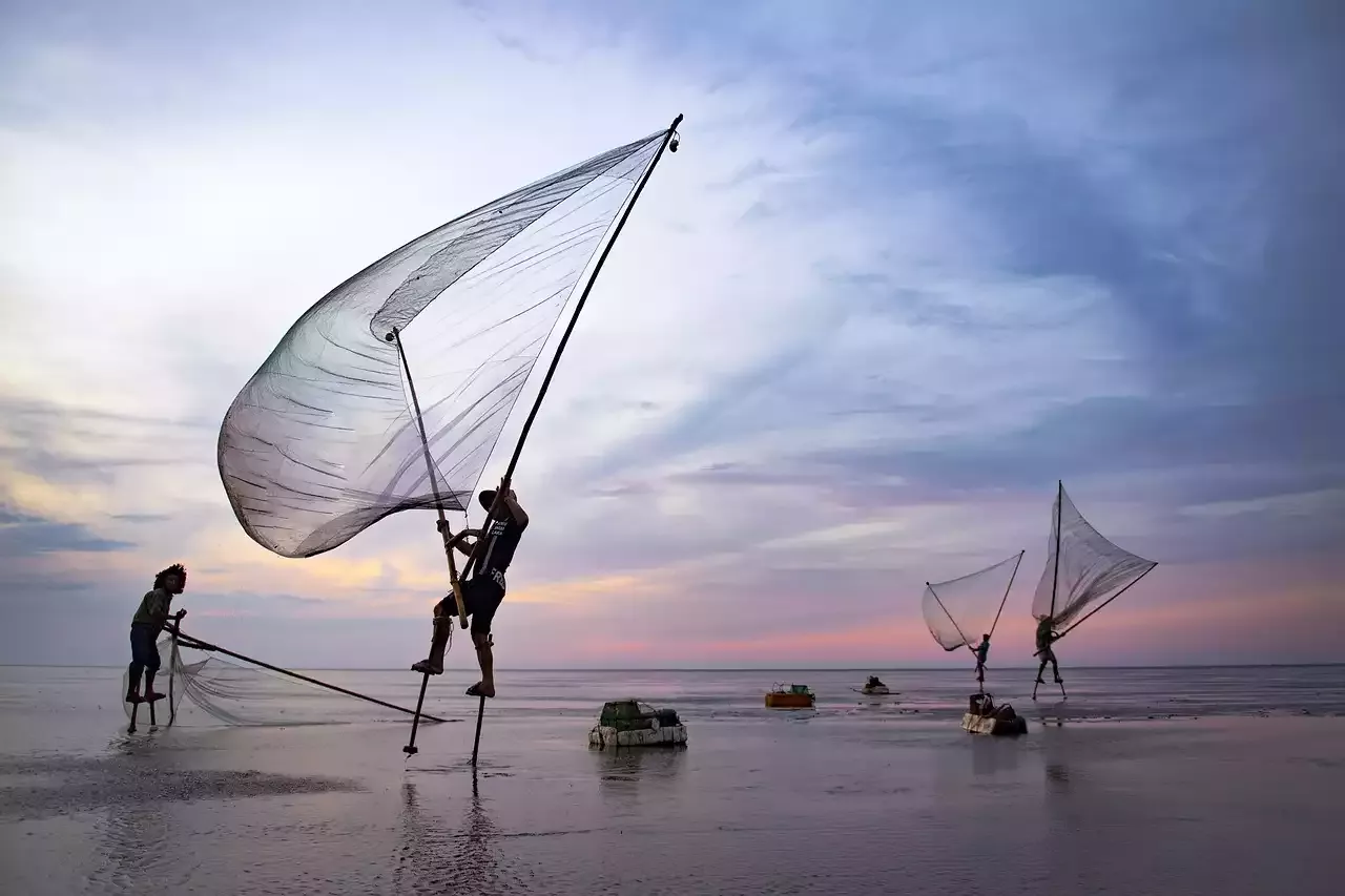 Su comunidad de pesca en línea